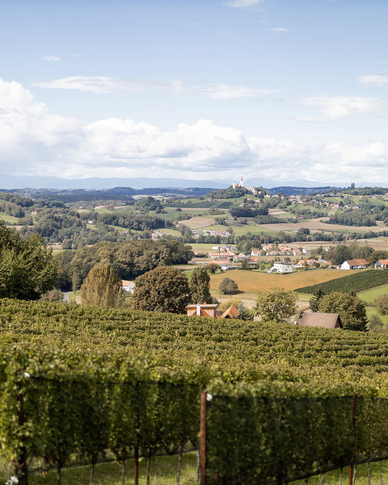 Blick über die Weite der Weinlandschaft in Straden.